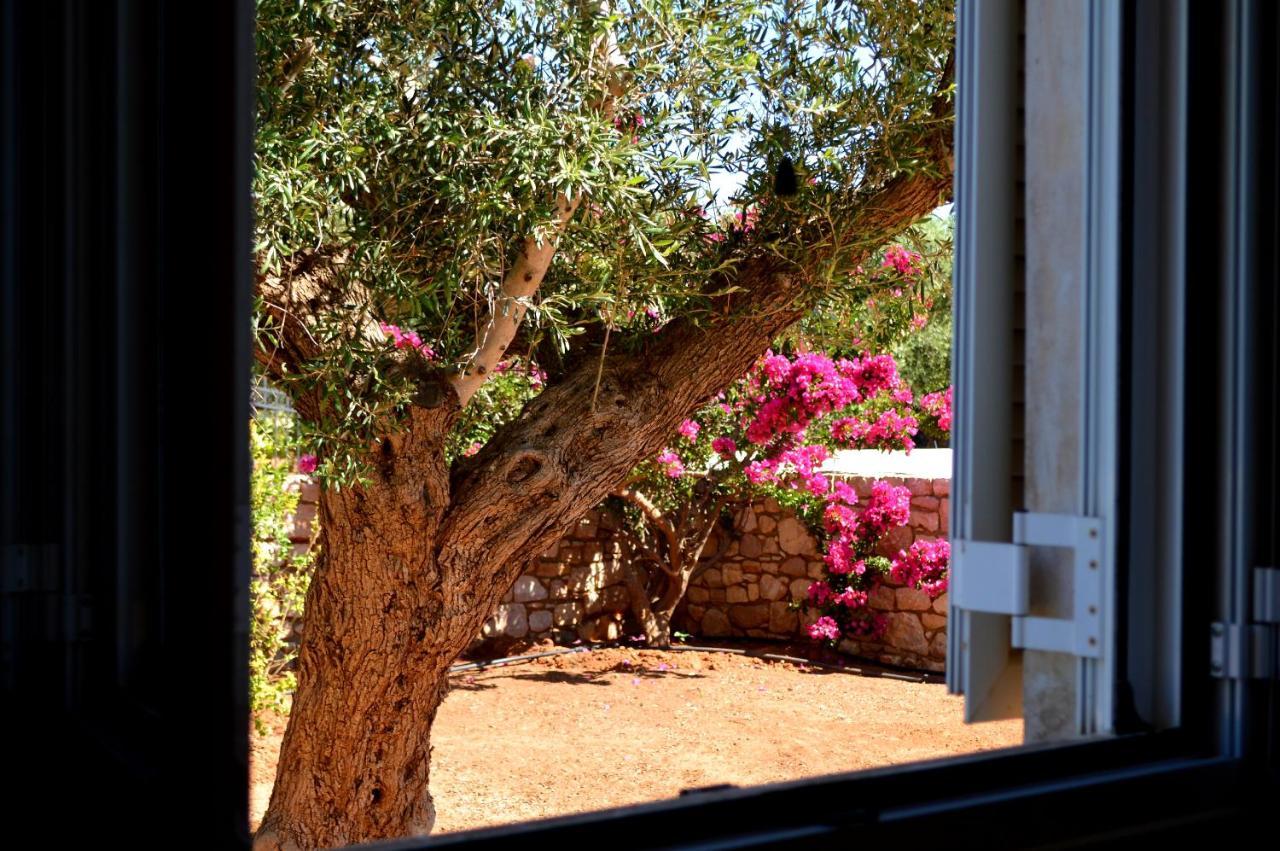 Villa Stamatis Agii Apostoli  外观 照片